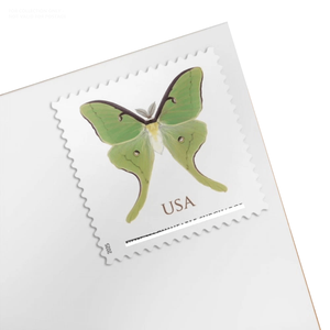 Etiquetas de Sellos Postales 2025, Bolsas Transparentes con Logotipo, Autoadhesivas, para Paquetería - Product Image 1