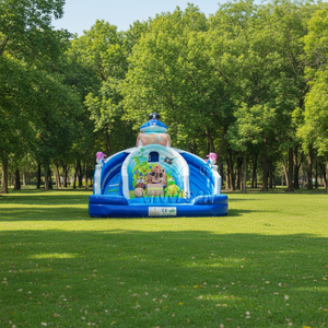 WINSUN Collection d'usine : Toboggans aquatiques gonflables Viking et Toboggan aquatique gonflable commercial Pirate pour <span class=keywords><strong>piscine</strong></span>, pour location <span class=keywords><strong>de</strong></span> fêtes - Product Image 1