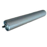 Nouveau rouleau en acier zingué avec roulement à billes capacité de charge de 50kg pour les industries de vente au détail d'hôtel de restaurant