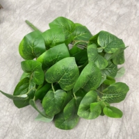 Bunga Hias DKB, Karangan Bunga, dan Tanaman Sukulen Aglaonema, Tanaman Indoor, Tanaman Daun Lembut, Buket Tanaman