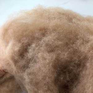 도매 가격 supersoft dehaired 낙타 머리/낙타 모직 - Product Image 4