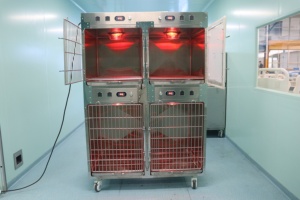 CH di lusso moderno pieghevole in acciaio inox cane canile cassa con vassoio di plastica e case di Design per cani - Product Image 6