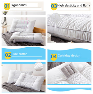 En gros blanc coton noyau d'<span class=keywords><strong>oreiller</strong></span>, graines <span class=keywords><strong>de</strong></span> cassia, <span class=keywords><strong>oreiller</strong></span> adulte <span class=keywords><strong>oreiller</strong></span> <span class=keywords><strong>de</strong></span> <span class=keywords><strong>sarrasin</strong></span> <span class=keywords><strong>pour</strong></span> la maison <span class=keywords><strong>pour</strong></span> hôtel - Product Image 4