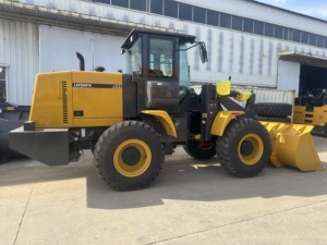 Pembukaan toko baru: dapatkan Penawaran terbaik untuk pompa roda <span class=keywords><strong>10</strong></span> Ton 92kW LW300FN di Pakistan - Product Image 6