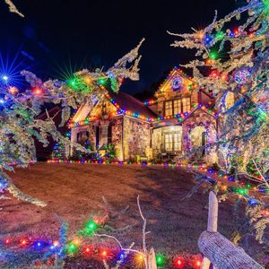 Fabricante de Bombillas LED C9 de Grado Comercial para Navidad, en Línea - Product Image 4