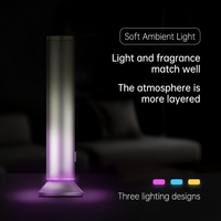 Diffuseur de parfum professionnel de luxe, sans eau, rechargeable, alimentation USB avec télécommande
