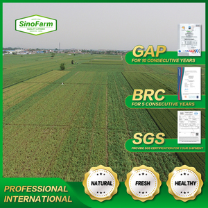 Rau Củ Hữu Cơ Tươi Mới Bán Buôn Carot/Cà Rốt Giá Của Cà Rốt Với Số Lượng Lớn Để Xuất Khẩu Tại Trung Quốc - Product Image 4