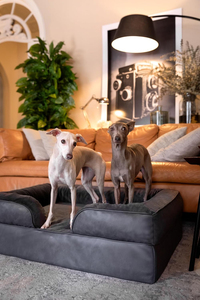 Kasur Sofa Anjing Besar Ortopedi Busa Memori Mewah Custom Pabrik, Alas Tidur Kucing Busa Memori Mewah yang Dapat Dilepas - Product Image 5