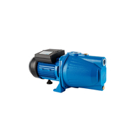 Usine personnalisée meilleur prix 1HP 0.75kW Jet série pompes automatiques moteur électrique pompe à eau de surface à tête haute pour le ménage