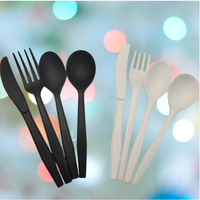 Ensemble de couverts jetables compostables CPLA (fourchette, couteau, cuillère) pour restaurant, modèle 2026, adapté aux usines
