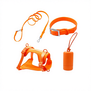Nuovo Set di Guinzaglio e Pettorina per Cani in <span class=keywords><strong>PVC</strong></span> a Quattro Pezzi per Piccoli Cani - Product Image 1
