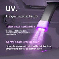 Toilette intelligente en céramique, sanitaire, fonctionnement silencieux, usage commercial et résidentiel, installation facile, fournisseur en gros, luxe