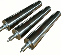 Nouveau Rouleau de Convoyeur Robuste Chromé avec Roulement à Billes Haute Capacité de Charge Longue Durée de Vie Vente en Gros Usine