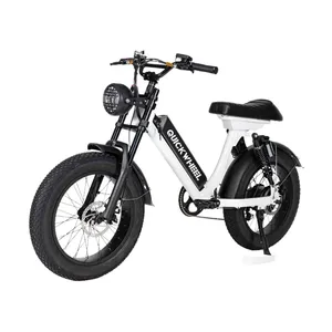 Usa Warehouse Quickwheel G1 2022 Hot Popular Brand New 48V 500W Bicycle Electric Assist, China Pedal Electric Bicycle