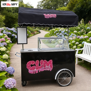 REALLY Gelato Ice Cream Vending Machine Display Freezer Italian Popsicle Electric Cargo Coffee Bike Fiberglass Brushless Motor - Product Image 1
