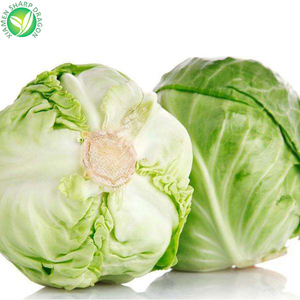 Bán buôn màu xanh lá cây thiên nhiên Trung Quốc Hạt giống Bắp cải tươi đông lạnh ăn được SD 10 kg gmo-miễn phí lá xúc xắc thái lát Chunk thái hạt lựu khối khối - Product Image 2