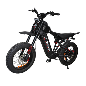 Stock local aux États-Unis, livraison gratuite, 60V 25Ah 2000W, cyclomoteur puissant, moto tout-terrain rapide, moto pour adultes, motos - Product Image 3
