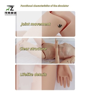 Modelo Multifuncional de Reanimación Cardiopulmonar para Entrenamiento de Cuidadores en Intubación Traqueal, Inyección y Cateterización - Product Image 4