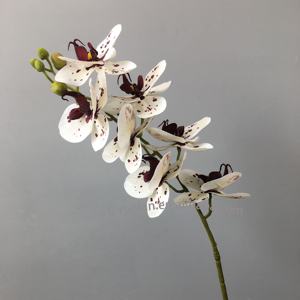 Orquídeas artificiales <span class=keywords><strong>de</strong></span> látex con estampado 3D, orquídeas artificiales <span class=keywords><strong>de</strong></span> seda falsa blanca con flores decorativas para el hogar, 2020 - Product Image 5