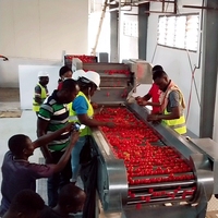 Ligne de production de sauce tomate et de ketchup |   Pour la transformation de la purée de tomates en sauce |   Machine de remplissage et de scellage pour la cuisson