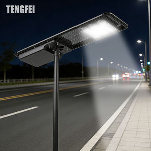 텅페이 고품질 야외 조명 30w 40w 50w 올인원 태양광 가로등 도로용 - Product Image 3