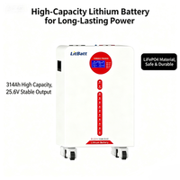 Batterie LiFePO4 haute efficacité de 16 kWh à grande capacité pour le stockage d'énergie solaire à long terme
