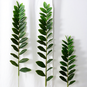 H-897 <span class=keywords><strong>Arbre</strong></span> à monnaie artificiel en <span class=keywords><strong>eucalyptus</strong></span> à <span class=keywords><strong>prix</strong></span> de gros, avec tige à feuille unique Zamiifolia, pour décorations de maison et de mariage - Product Image 5