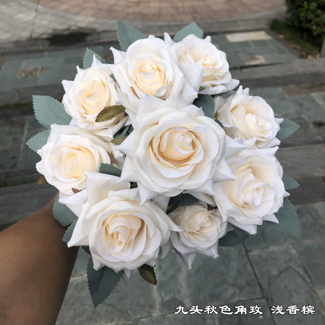 9 champagne rose d'automne