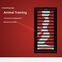 Cage de Contrainte en Fer à Thème BDSM pour Chambre, Instrument de Punition et de Torture, Compatible Dropshipping