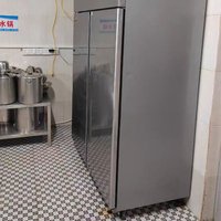 Réfrigérateur vertical multifonctionnel pour cuisine, congélateur à viande Sub Zero
