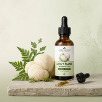 Gotas Líquidas de Melena de León 2 Fl oz Suplemento Herbal con Reishi y Cordyceps Sinensis para la Salud Cerebral y el Apoyo Inmunológico