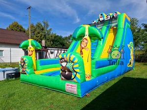 Toboggans gonflables, aires de jeux gonflables et pingouins de <span class=keywords><strong>Madagascar</strong></span>. - Product Image 1