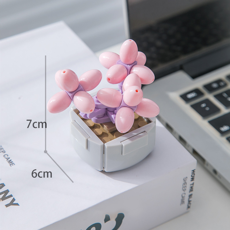 104B-2 Pachyphytum
