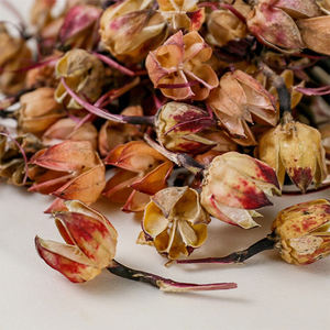 Commercio all'ingrosso da produttori di frutta secca calcio frutta bianca piccola frutta secca frutta secca per la decorazione didattica - Product Image 4