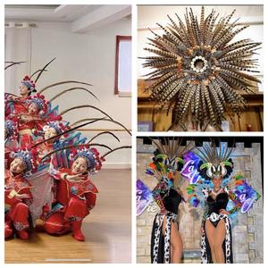 Groothandel 20-60Cm Natuurlijke Fazant Staartveren Grappige Kat Stick Diy Hoofdtooi Accessoires Geverfde Veren - Product Image 3