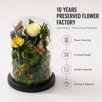 Lovebay Nouveau Design Papillon avec Rose Éternelle sous Cloche en Verre Fleurs Stabilisées Fleurs Conservées dans un Couvercle en Verre