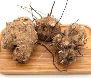 Racine de UBI <span class=keywords><strong>JAGA</strong></span> brute naturelle en gros pour un thé fort - Product Image 4