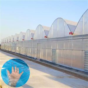 <span class=keywords><strong>Film</strong></span> de serre en feuille, fourniture d'usine, meilleur prix, <span class=keywords><strong>film</strong></span> de serre en PE de 120 microns pour plantes vivantes - Product Image 1