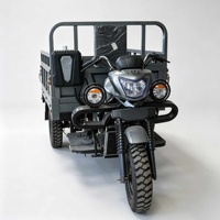 Triciclo de Gasolina Directo de Fábrica con Plataforma de Carga Grande Abierta y Estructura Resistente para Transporte Logístico Rural en Congo