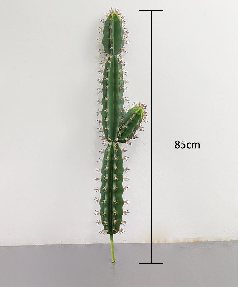 85 cm