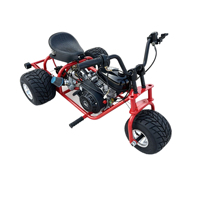 Triciclo Todoterreno para Adultos, con Motor de Gasolina, 3 Ruedas, Mini Go Kart, Vehículo de Carreras Todoterreno para Playa