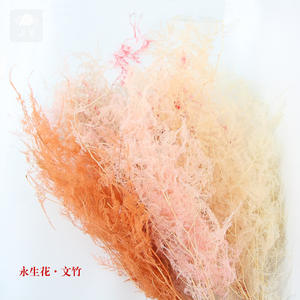 Asperges conservées fougère asperges stabilisées pour la décoration - Product Image 3