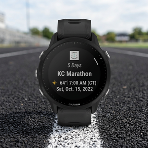 Nuevo Reloj Inteligente Deportivo GPS Multifuncional Fenix 8 de 43 mm con Pantalla AMOLED de Zafiro de Grado Industrial, Personalización ODM y Envío Rápido - Product Image 2