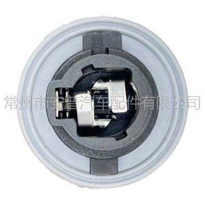 Portalámparas brasileño RZ-01-A0458N para Golf GIV, pieza de repuesto para coche con dos cables - Product Image 2