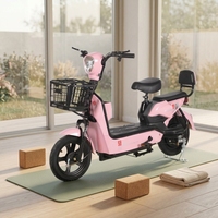 Vélo électrique biplace pour adultes, produit en usine, vente en gros directe, cellule lithium-ion écologique, coque en alliage léger