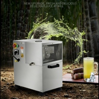 Extracteur de jus de fruits mini polyvalent avec moteur en acier inoxydable 304 pour usage commercial et usines de transformation des fruits