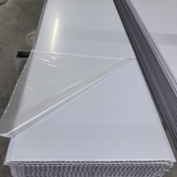 Panneaux de revêtement de plafond en PVC de qualité supérieure, noir brillant argenté, en Chine