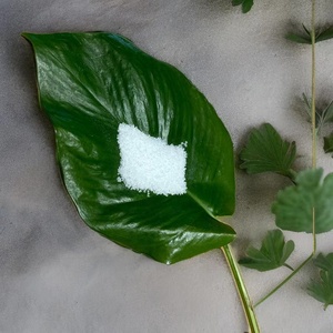 Gránulos de <span class=keywords><strong>alcohol</strong></span> polivinílico BP 05/PVA 0588 para impresión/pegamento adhesivo/construcción de edificios - Product Image 1