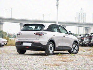 Modello 2026 310km Edizione Giovani <span class=keywords><strong>Auto</strong></span> Elettrica Compatta Urbana a Nuova Energia Conveniente - Product Image 6