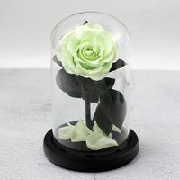Cadeaux de Noël et de la Saint-Valentin en gros, rose éternelle conservée dans un dôme en verre